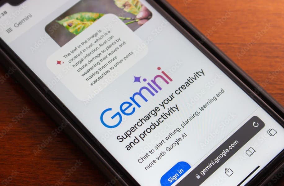 Use Gemini Advanced