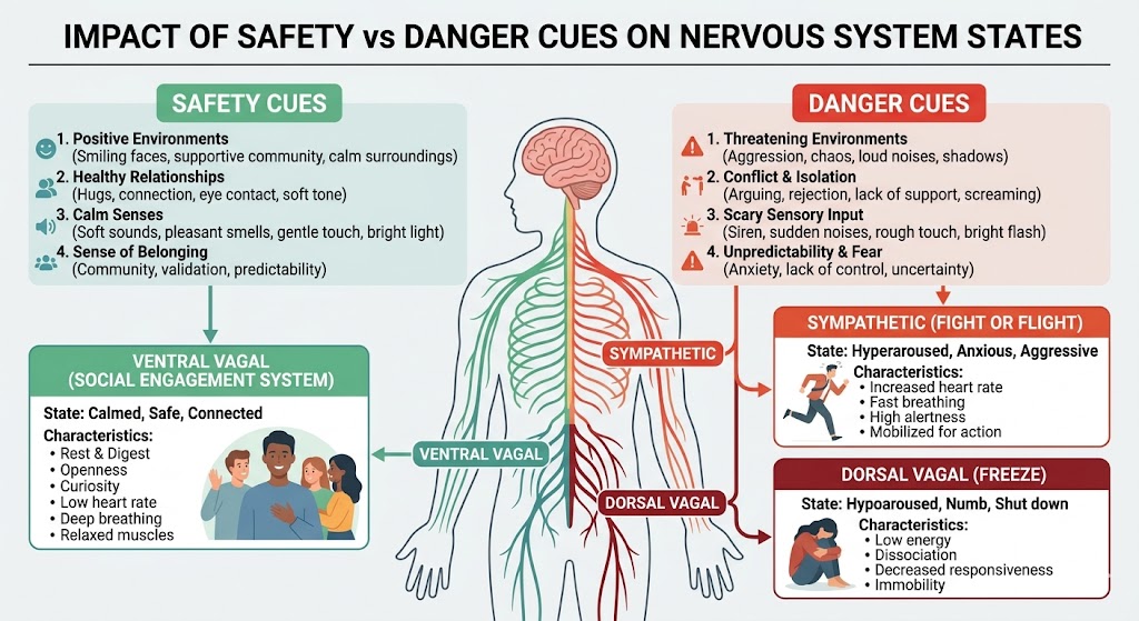 Understand polyvagal theory cues in daily life