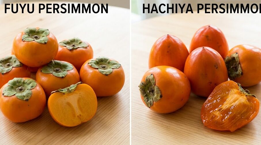 Compare Fuyu persimmon and Hachiya persimmon varieties